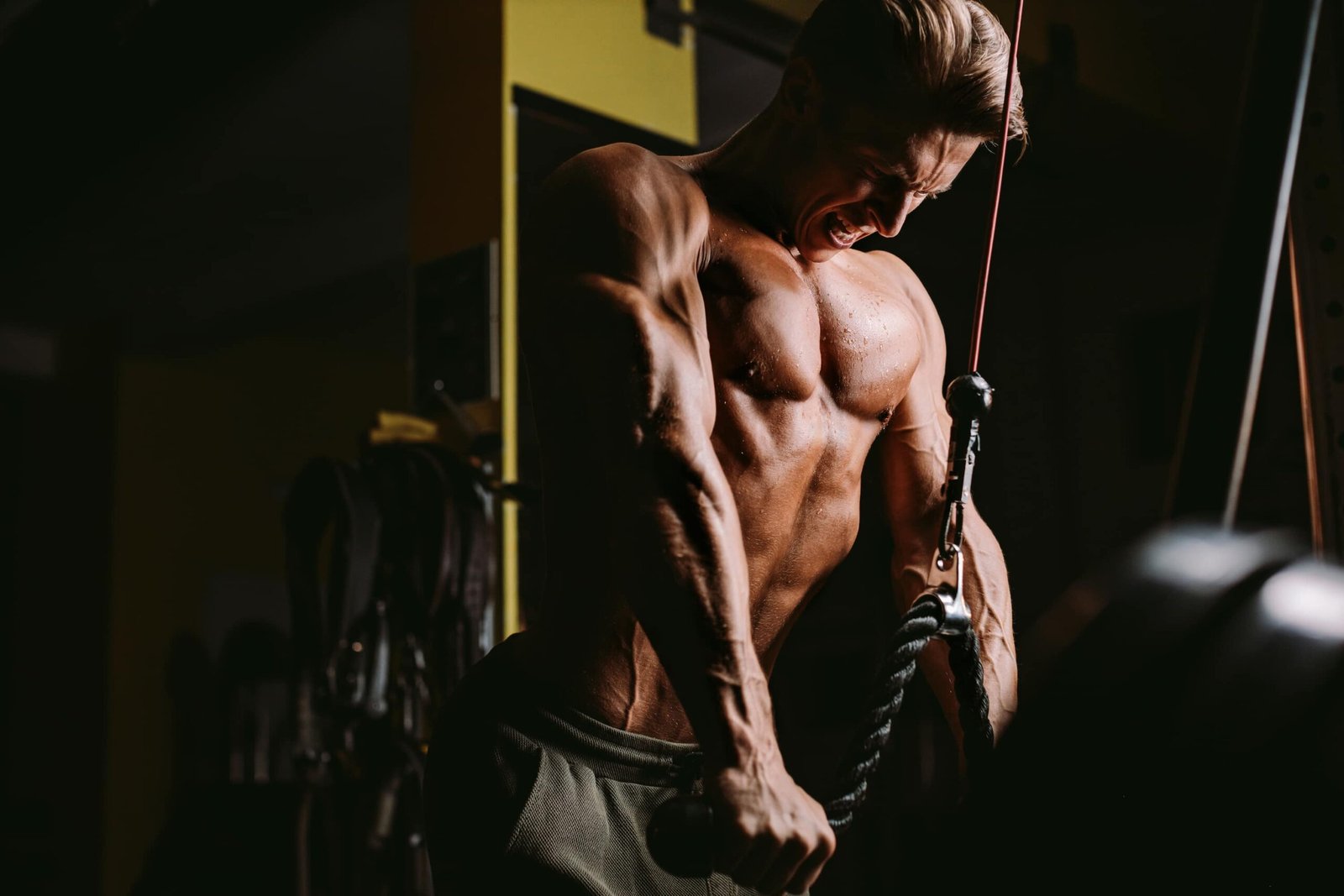 image-WB5BW9E-1.jpg MDT10 – Private Coaching Package